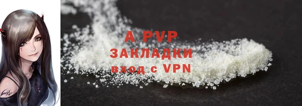 гидра Наволоки