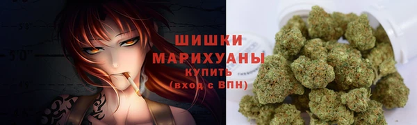 гидра Наволоки