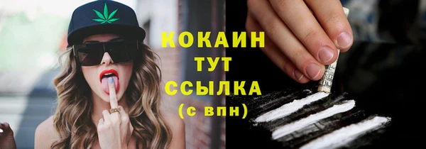 гидра Наволоки