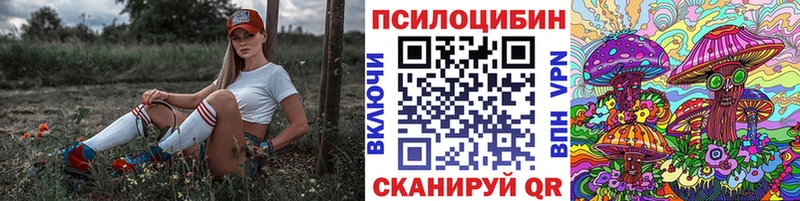 Псилоцибиновые грибы прущие грибы МЕГА маркетплейс Нелидово купить наркотик